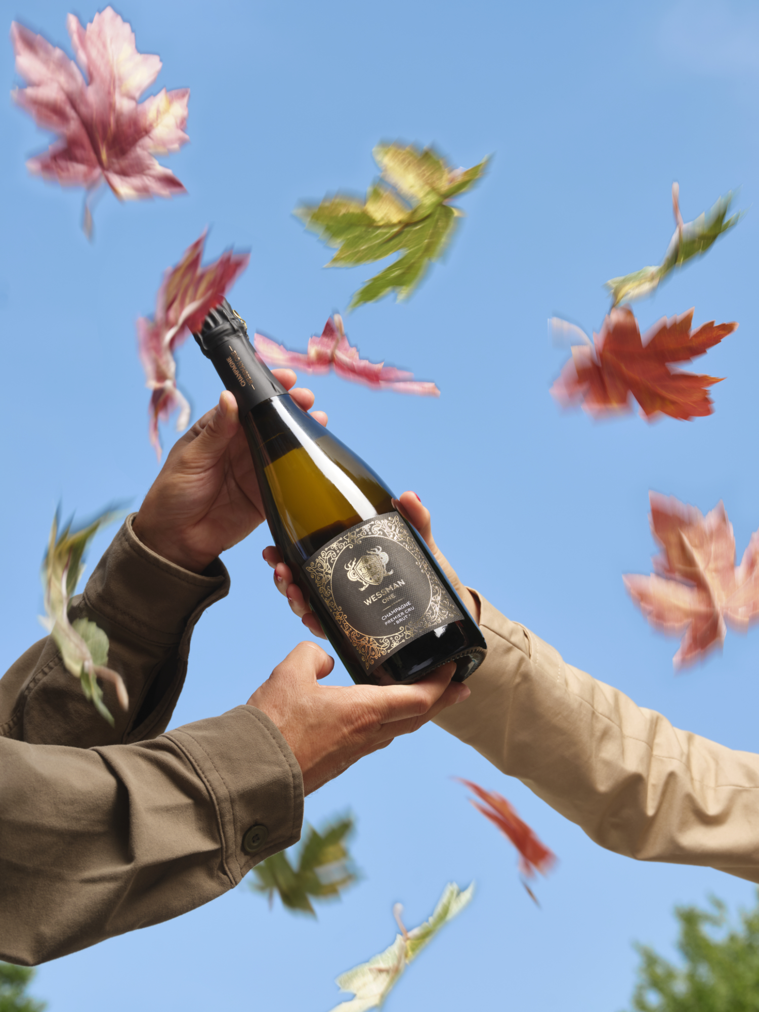 Photographie de mains tenant une bouteille de champagne Wessman sous un ciel bleu avec des feuilles d'automne. Par Studio ZE, photographe de produits à Toulouse.